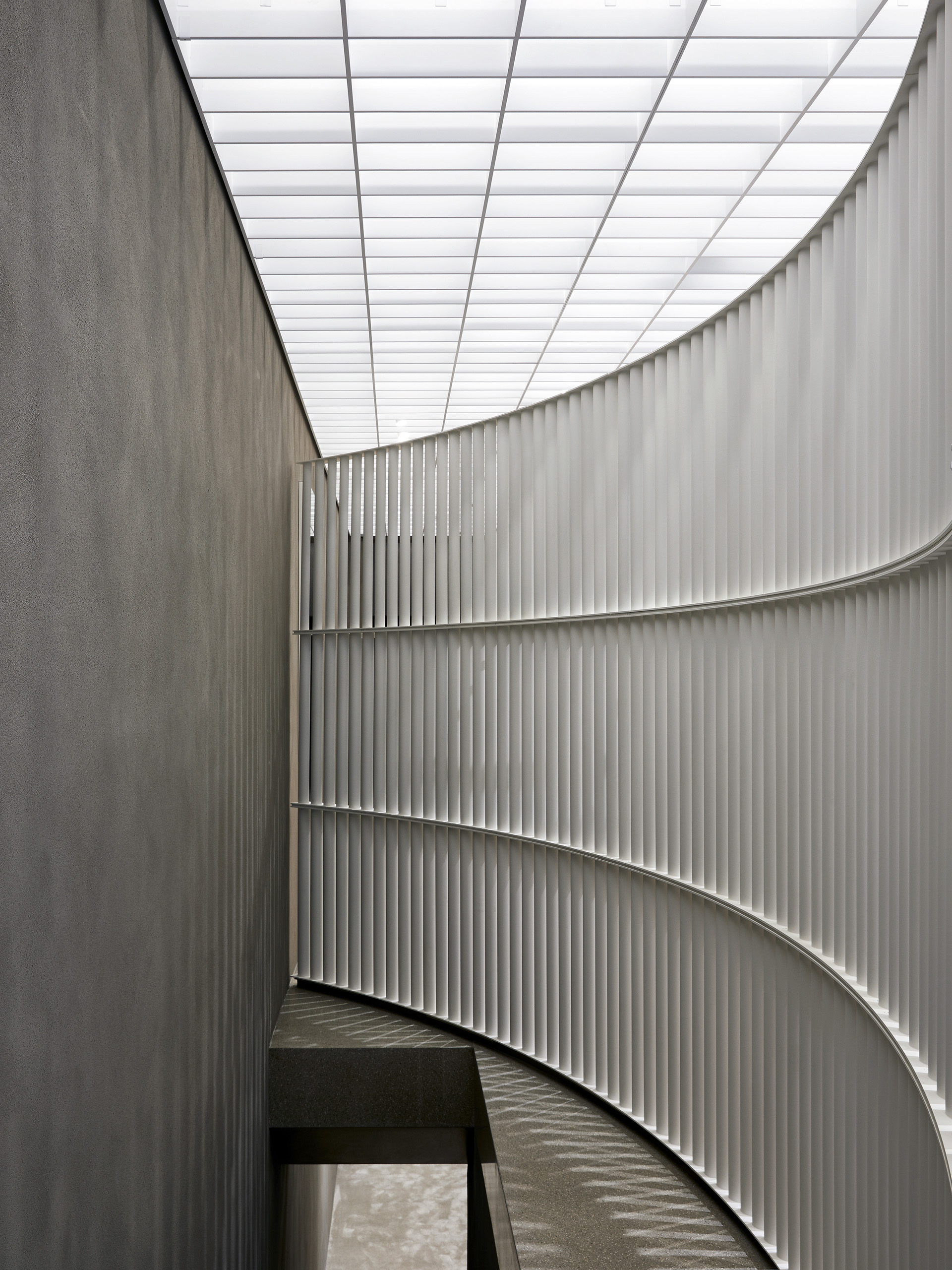 Paul Riddle Photographer · Self-Portrait Albermarle St London UK